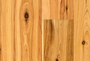 wood type australian cypress