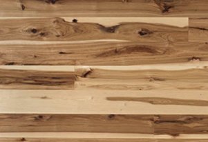wood type hickory